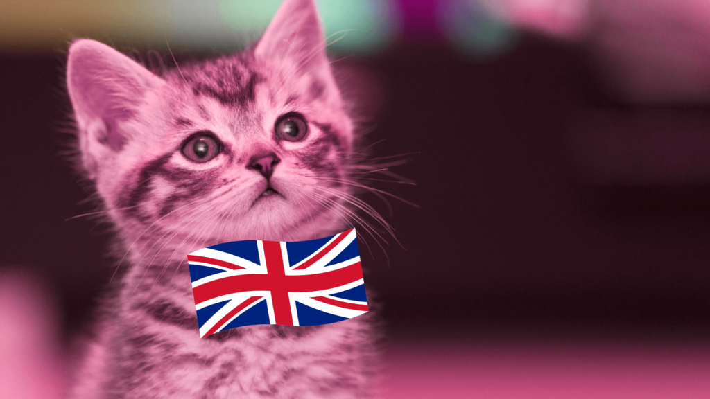 Учись и зарабатывай онлайн - Онлайн образование